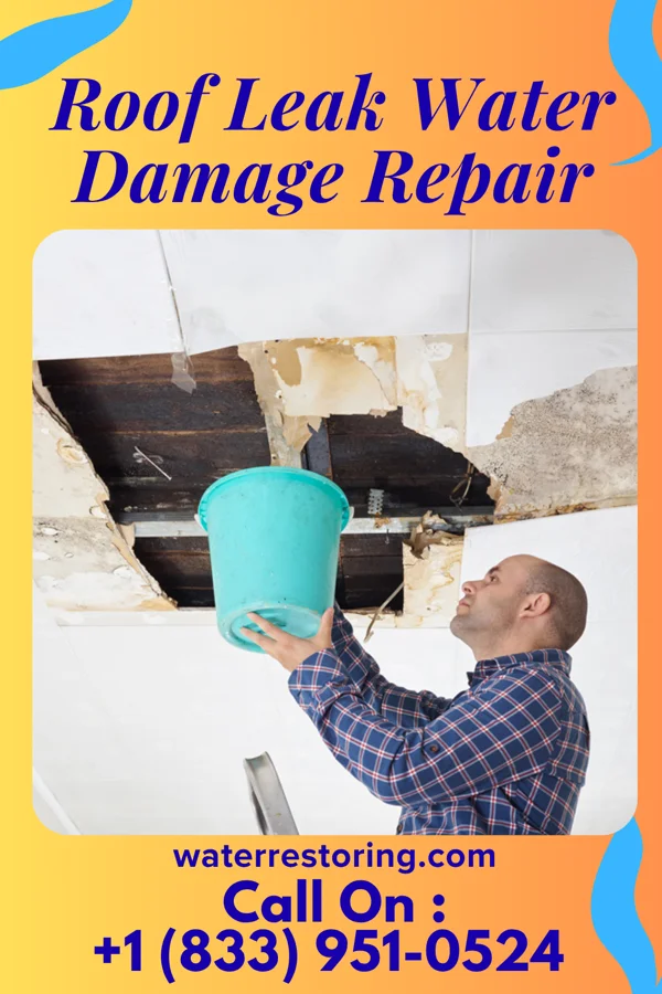 Roof Leak Water Damage Repair in Lake Saint Clair, MO